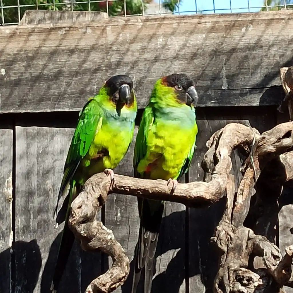 Шесть способов справиться с тревогой на свиданиях